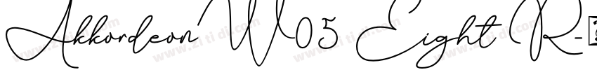 AkkordeonW05 Eight R字体转换